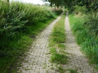 Valkerhofstadt von Grenzweg