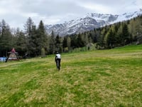 Alpe Motta von Chiavenna