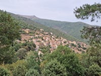 Vallée d’Asco / Ascu Stagnu
