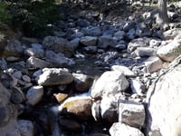 Vallée d’Asco / Ascu Stagnu