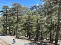 Vallée d’Asco / Ascu Stagnu