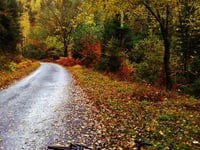 Vallée de la Sayotte
