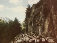 Vallée de Restonica / Bergeries de Grotelle