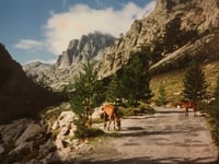 Vallée de Restonica / Bergeries de Grotelle