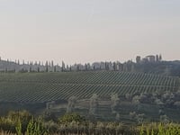 Vallombrosa von Sant'Ellero