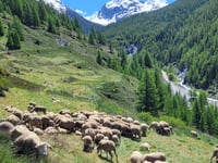 Valpreveyre von Abriès
