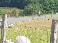 Col du VAM cobbles via Atteropad