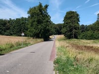 Van Borsselenweg