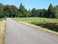 Van Borsselenweg