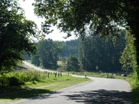 Van Borsselenweg