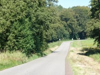 Van Borsselenweg