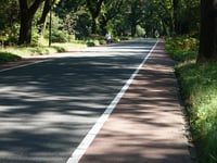 Van der Molenallee from Heelsum