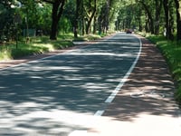 Van der Molenallee from Heelsum