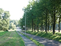 Van der Molenallee von Oosterbeek