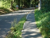 Van der Molenallee von Oosterbeek