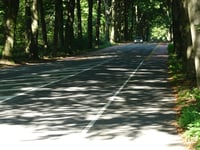 Van der Molenallee von Oosterbeek