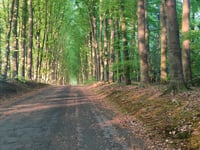 Van Limburg Stirumweg da Oosterbeek