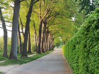 Van Limburg Stirumweg da Oosterbeek