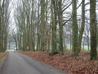 Van Limburg Stirumweg da Oosterbeek