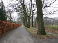 Van Limburg Stirumweg da Oosterbeek