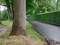 Van Limburg Stirumweg da Oosterbeek