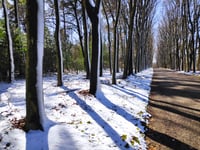 Van Limburg Stirumweg da Warnsborn