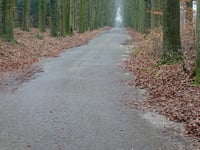 Van Limburg Stirumweg da Warnsborn