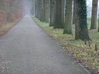 Van Limburg Stirumweg da Warnsborn