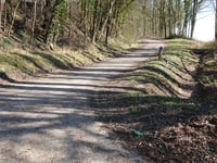 Vauwerberg depuis Sint Gerlach