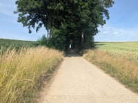 Vechmaal von Widooie