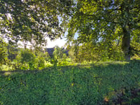 Vechmaalberg von Widooie