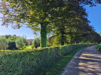 Vechmaalberg von Widooie
