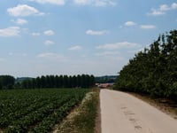 Vechmaalberg von Widooie