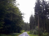 La Vecquée