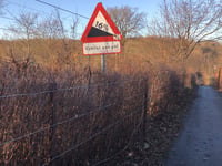 Vedbækmuren