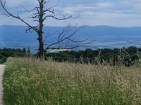 Veľká Javořina depuis Hrnčiarové