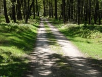 Velperweg von Loenermark