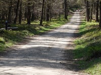 Velperweg von Loenermark