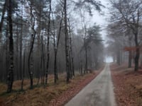 Velperweg von Loenermark