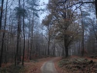 Velperweg von Loenermark