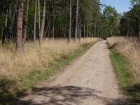 Postberg von Veluwezoom