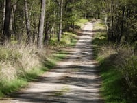 Postberg von Veluwezoom