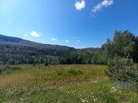 Vennastrandveien von Ytre Snillfjord