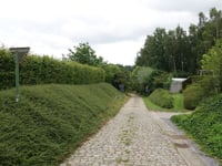 Verhenis von Henis