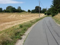 Verhenis von Henis