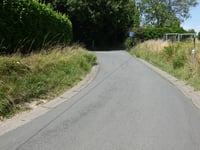 Verhenis von Henis