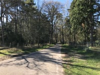 Verlengde Paltzerweg über Paltzerweg