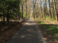 Verlengde Paltzerweg über Paltzerweg