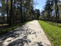 Verlengde Paltzerweg über Paltzerweg