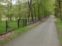 Verlengde Paltzerweg über Paltzerweg